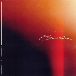 Shawn Mendes & Camila Cabello – Señorita – Single [iTunes Plus AAC M4A]