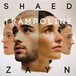 SHAED & ZAYN – Trampoline – Single [iTunes Plus AAC M4A]