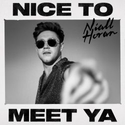 Niall Horan – Nice to Meet Ya – Single [iTunes Plus AAC M4A]