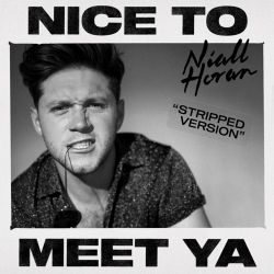 Niall Horan – Nice To Meet Ya (Stripped Version) – Single [iTunes Plus AAC M4A]