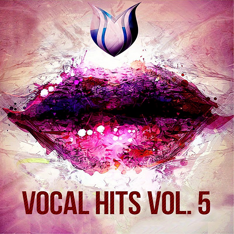 Vocal Hits Vol.5 (2020)