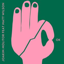 Joakim Molitor – OK (feat. Matt Wilson) – Single [iTunes Plus AAC M4A]