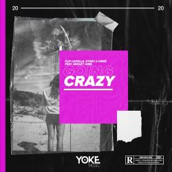 Flip Capella, Otray & Vinze – Going Crazy (feat. Ashley Jana) – Single [iTunes Plus AAC M4A]