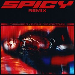 Ty Dolla $ign – Spicy (Remix) [feat. J Balvin, YG, Tyga & Post Malone] – Single [iTunes Plus AAC M4A]