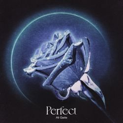 Ali Gatie – Perfect – Single [iTunes Plus AAC M4A]