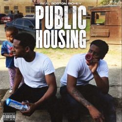 Real Boston Richey – Public Housing [iTunes Plus AAC M4A]