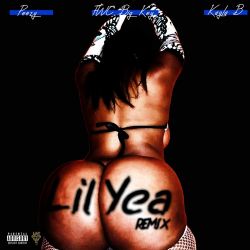 FWC Big Key, Peezy & Kayla B – Lil Yea (Remix) – Single [iTunes Plus AAC M4A]