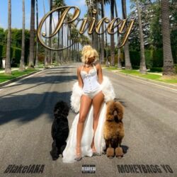 BlakeIANA & Moneybagg Yo – Pricey – Single [iTunes Plus AAC M4A]